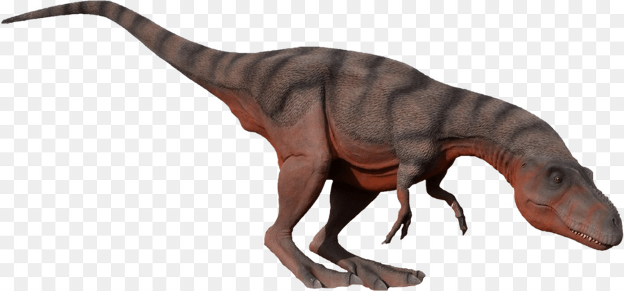Tyrannosaurus Albertosaurus Moab Giganti Dinosauri - Dinosauro