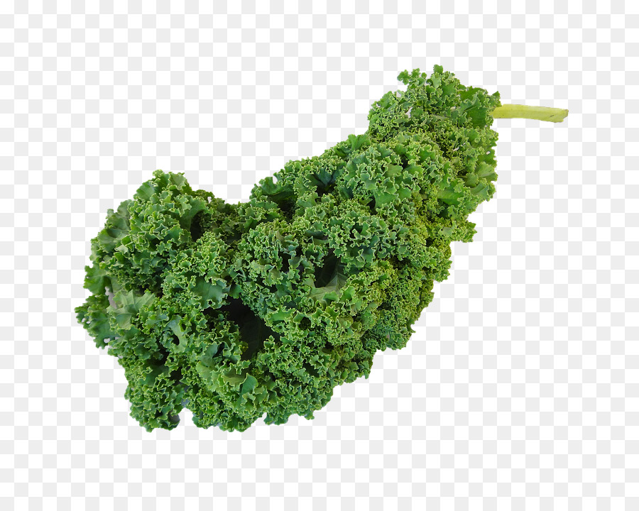 Vegetarische Küche Grünkohl-Blatt-Gemüse - pflanzliche