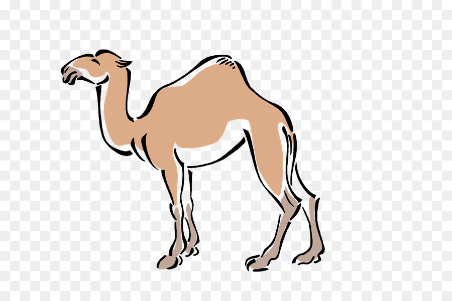Dromedar Pack animal Mustang Clip-art - Kamele