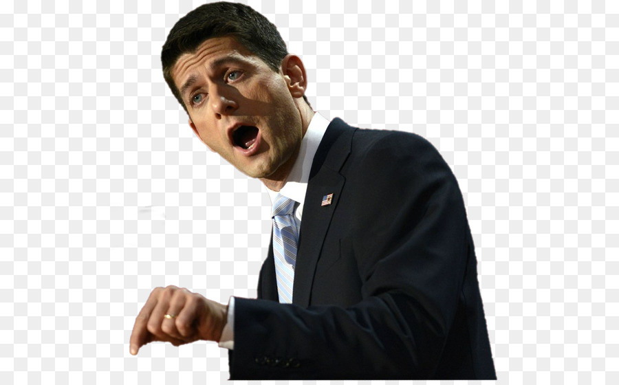 Paul Ryan, Republican Party (United States Congress - andere