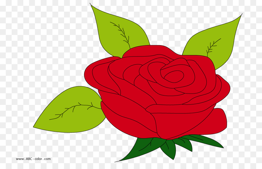 Le rose da giardino di Disegno Clip art - altri