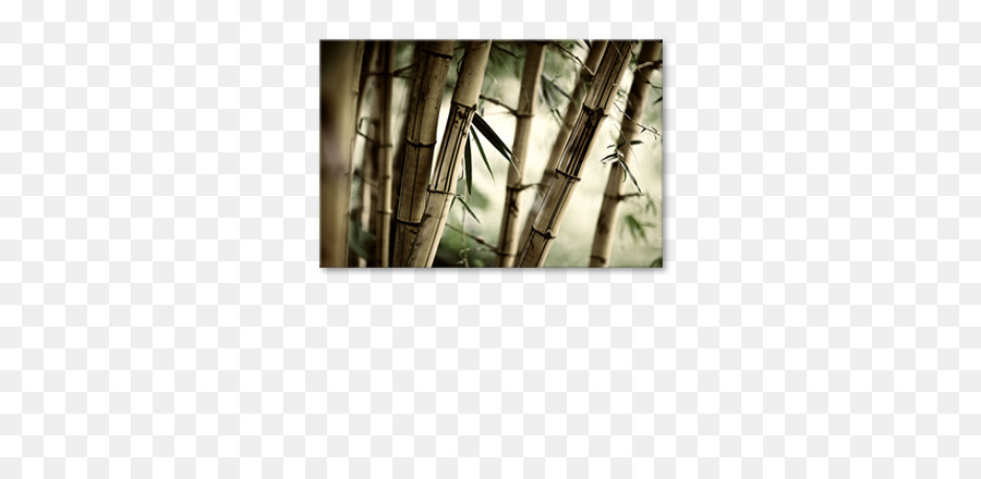 Tropicale woody bambù dipinto ad Acquerello, di Tela, di Carta - Foresta Di Bambù