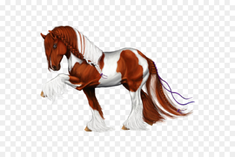 Mähne Shire horse Howrse-Hengst Marwari Pferd - Mustang