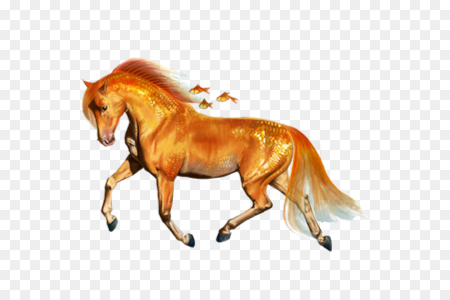 Bờm Ngựa Howrse Mustang Vẽ - mustang