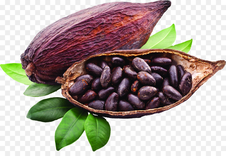 Il Cacao Criollo bean solidi di Cacao Trinitario liquore di Cioccolato - cioccolato