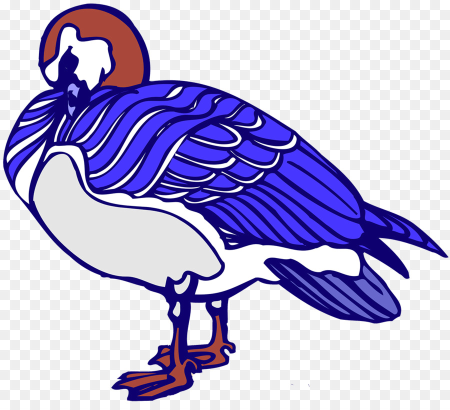 Schnabel Wasser-Vogel Kobalt-blau Geier - Vogel