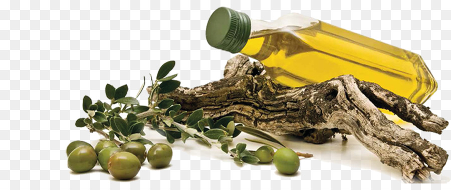 La Cucina spagnola cucina greca olio di Oliva - olio di oliva