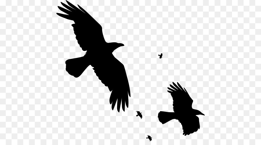 Vogel Gemeinsamen Raben-AAS Krähe Clip-art - Flying Raven Overlay