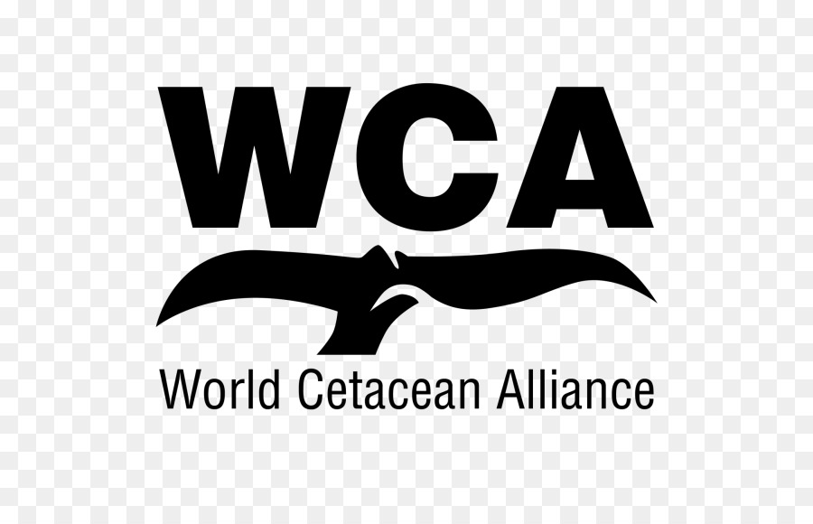 Wal Erhaltung der Wale World Cetacean Alliance Whale watching Porpoise - Delphin