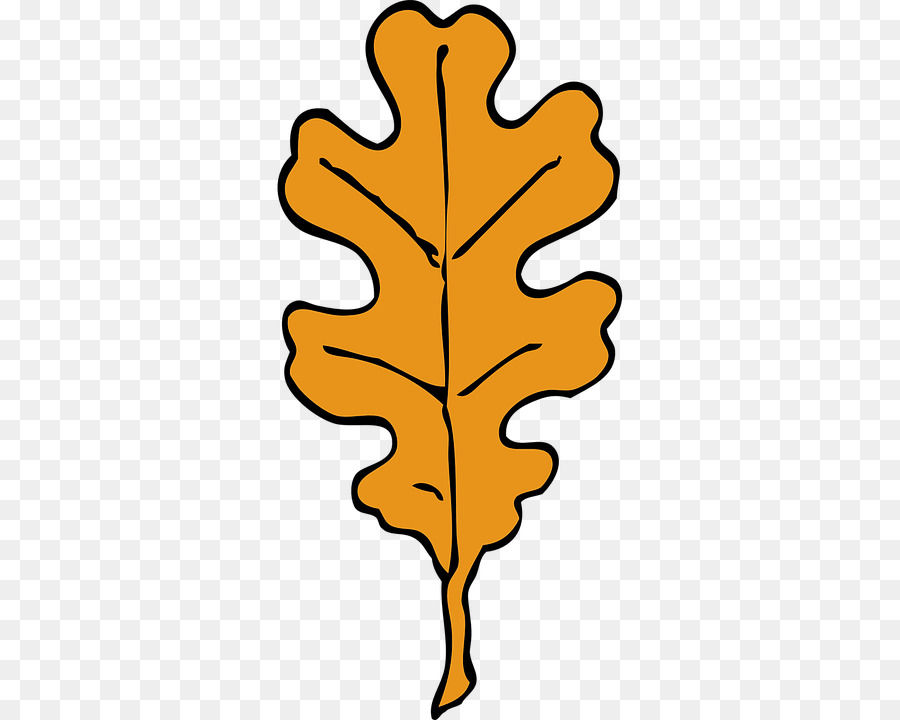 Blatt Quercus suber Eichel Clip-art - Eiche Stärke