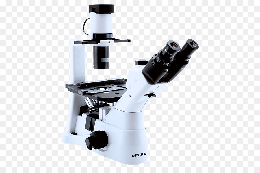 Microscope Cartoon img