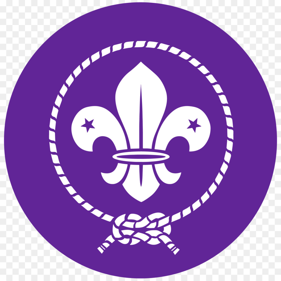 Organizzazione mondiale del Movimento Scout Jamboree Scout Boy Scouts of America - altri