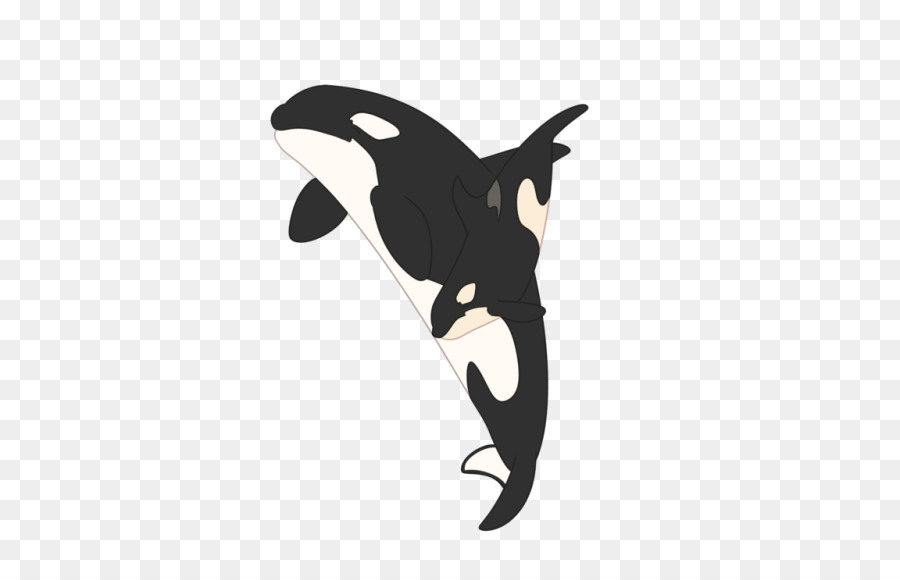 Southern resident Orcas Wale Meeressäuger-clipart - Minke Whale