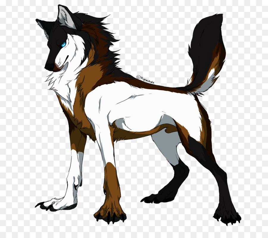 Canidae Hund Bellen Tier Männlich - Werwolf töten