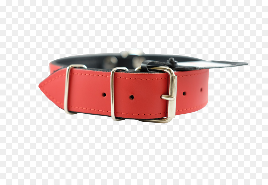 Collare di cane Fibbia cinturino di Orologio - collare rosso