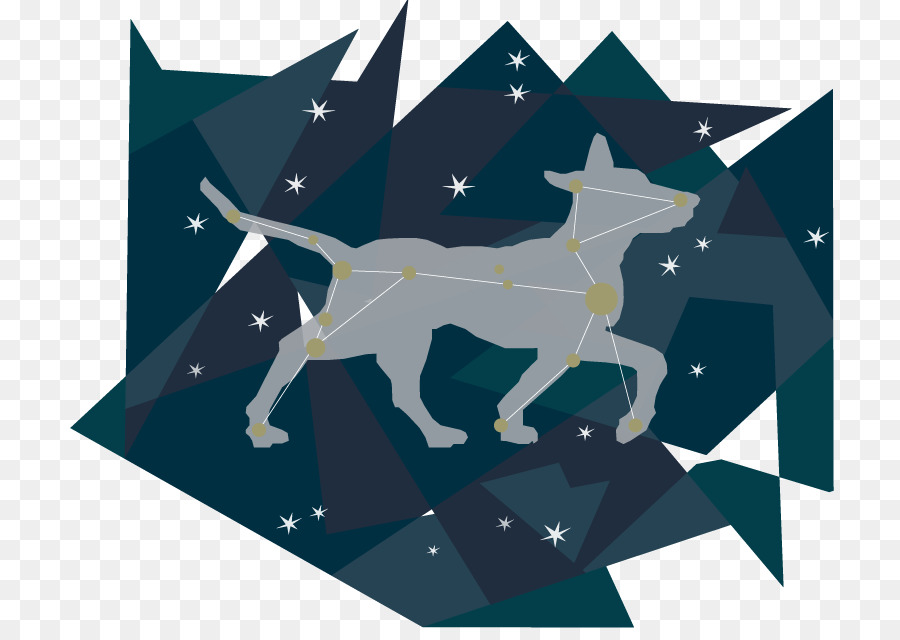 Сценарий созвездие. Созвездие большого пса. Канис Созвездие. Canis Major Созвездие. Модель созвездия Сириус.