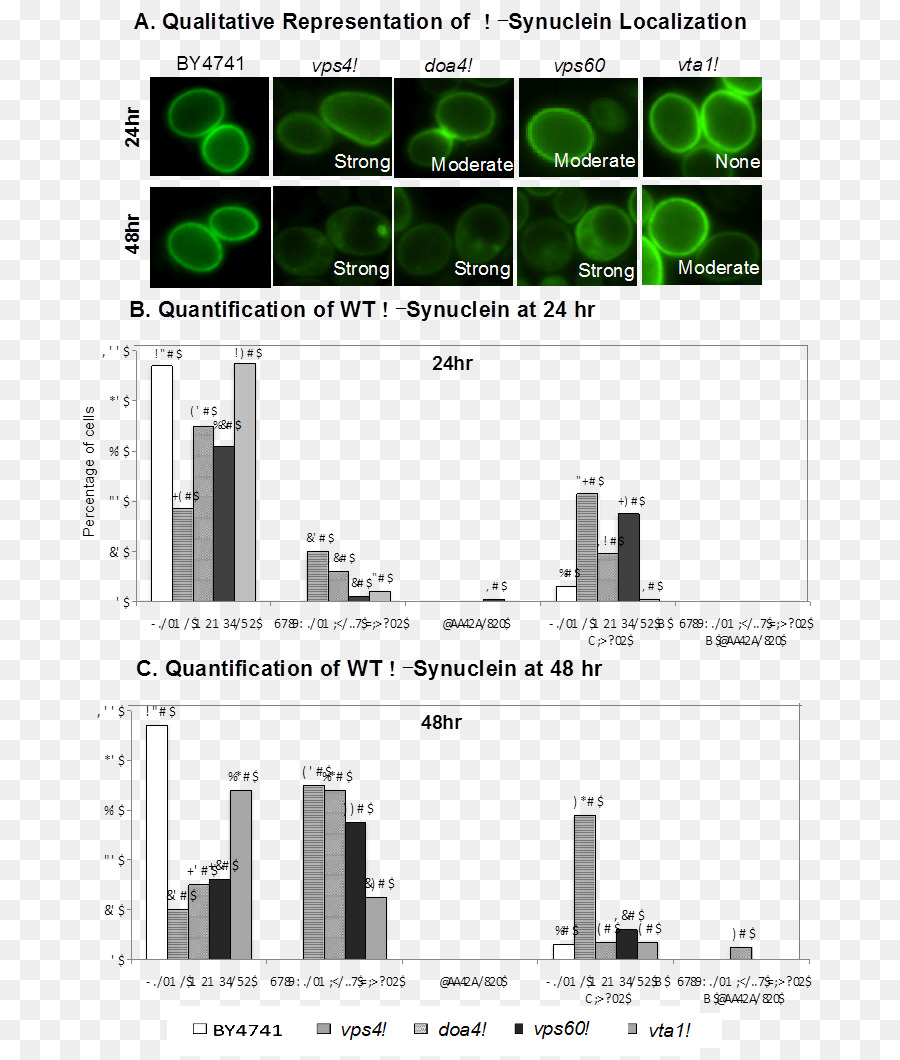 Alpha synuclein Green fluorescent protein Proteopathy Parkinson Krankheit - andere