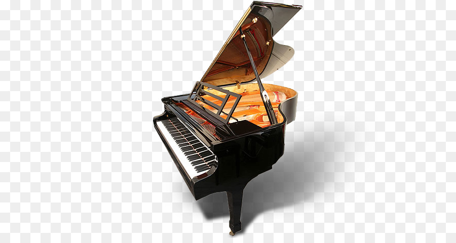 Người chơi piano Kỹ thuật số piano Fortepiano - cây đàn piano