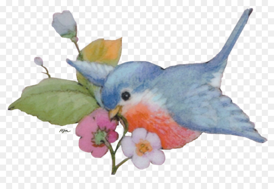 Schnabel Papagei Feder - Valentinstag Dekoration