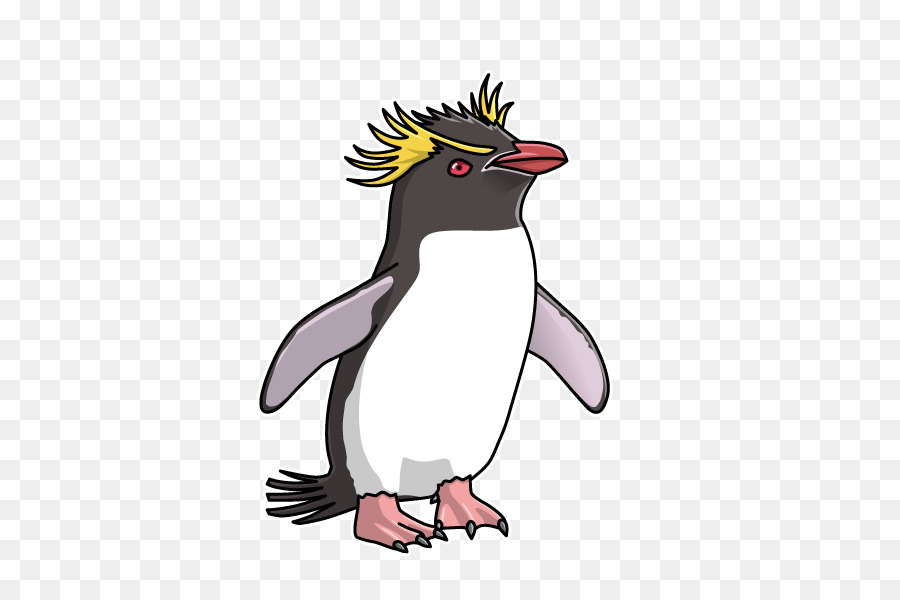 Re pinguino Sud pinguino saltarocce Pinguino Imperatore in Antartide - Sud pinguino saltarocce