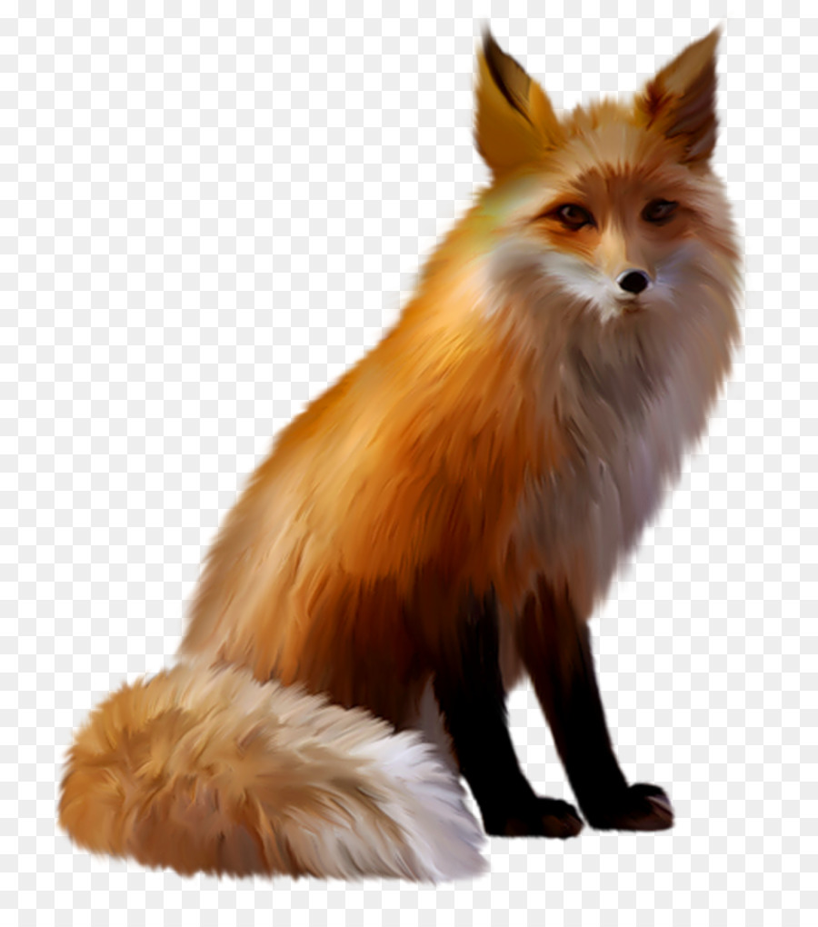 Đỏ fox sói Xám Clip nghệ thuật - Fox véc tơ