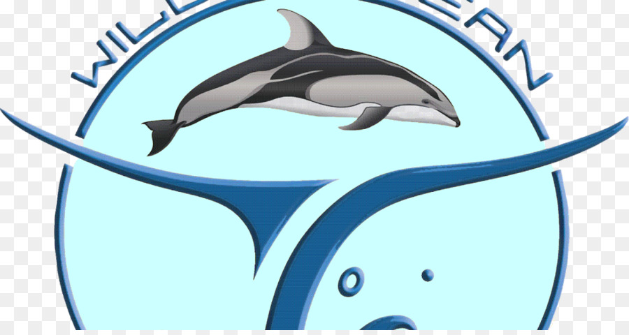 Common bottlenose dolphin Cartoon Line Clip-art - Minke Whale