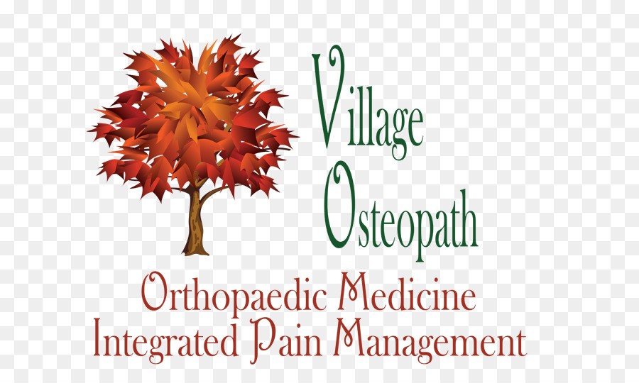 Dorf, Osteopath, Arzt der Osteopathischen Medizin Gesundheit Arzt - andere
