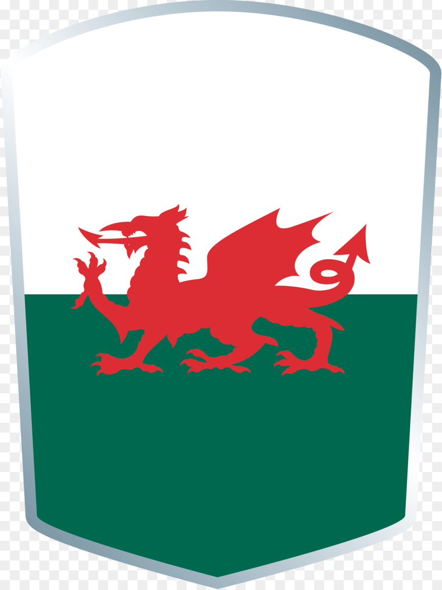 Flagge Wales Welsh Drache nationalflagge - Flagge