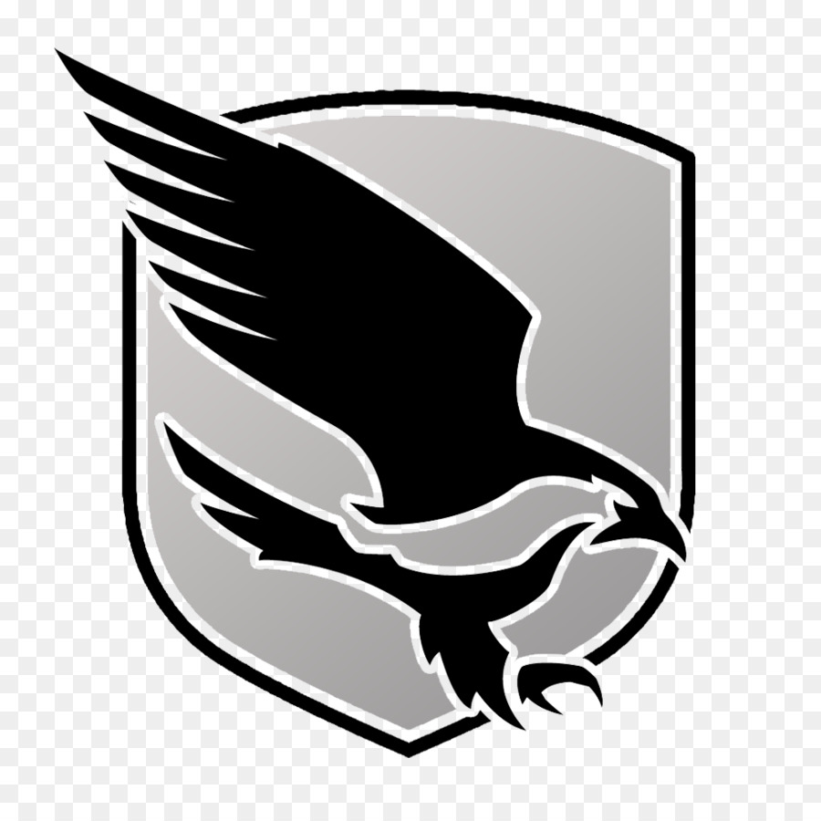 Logo Comune nighthawk Becco - Il disboscamento illegale