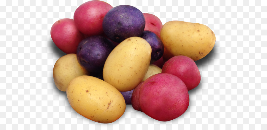Russet burbank patate Yukon Oro di patate Fingerling patate Kennebec di patate Ricetta - cucina