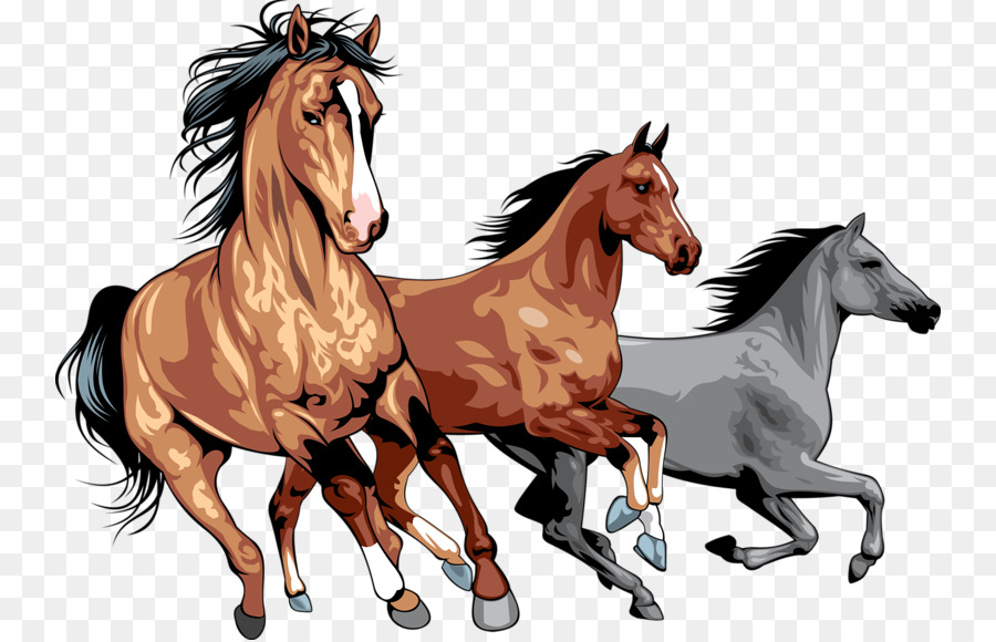 Pferd Pony Royalty free clipart - Pferd