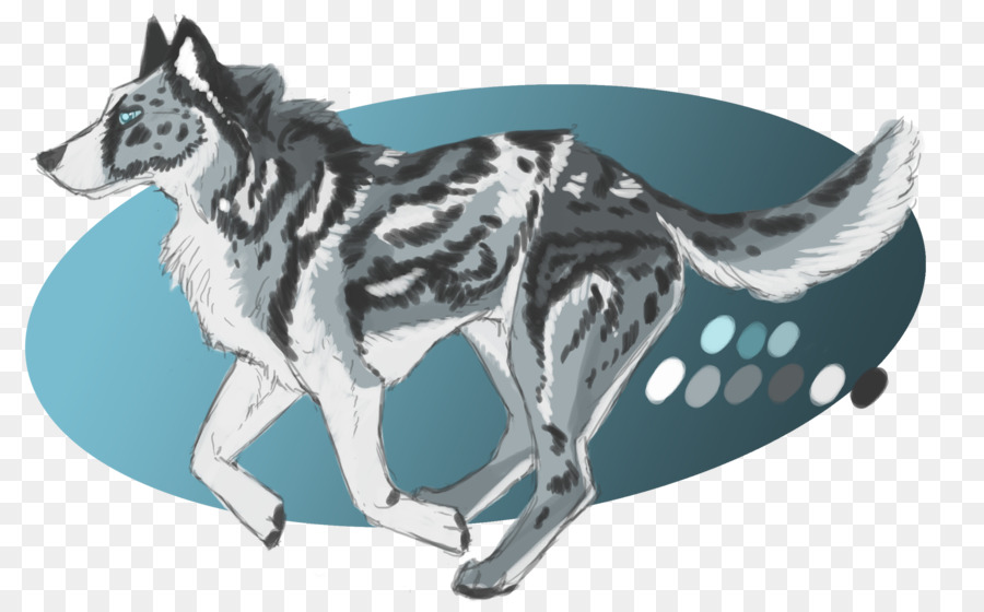 Siberian Husky, razza Cane lupo cecoslovacco - altri