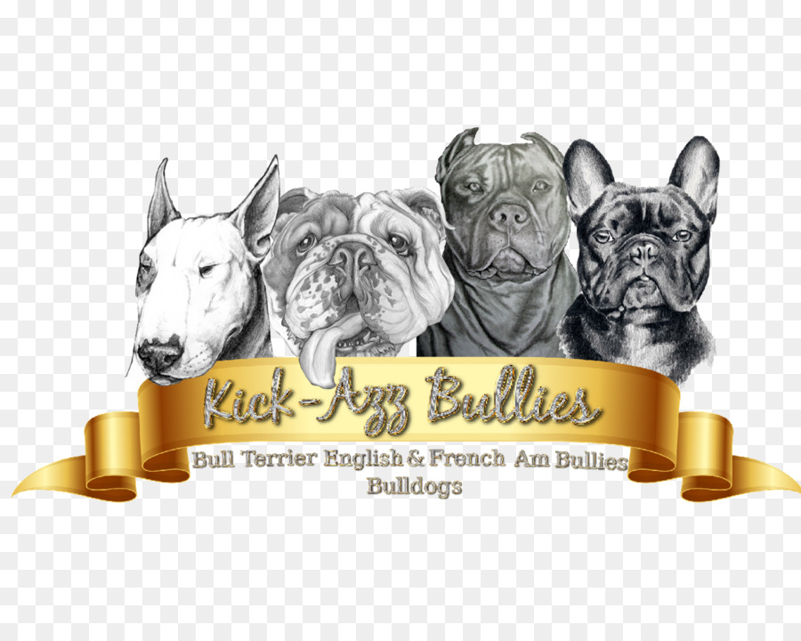 Cane di razza Non-gruppo di sportivi di Bulldog francese Muso - bullo americano