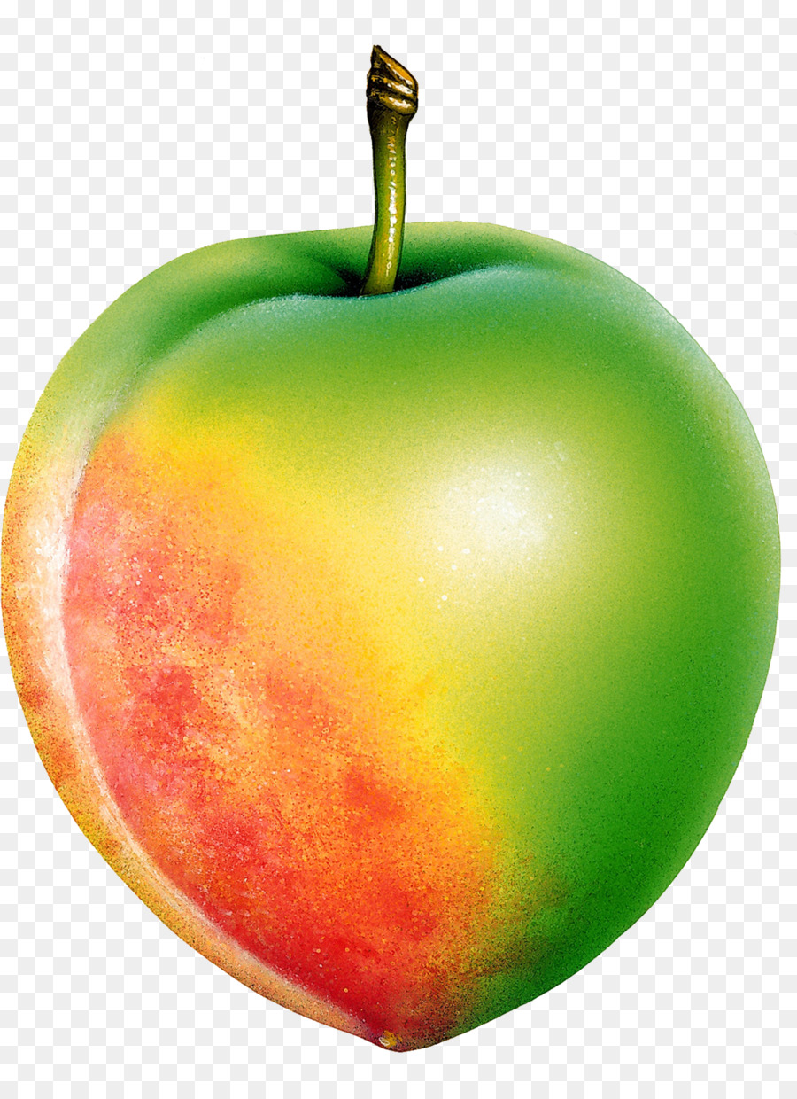 Trái cây Táo Nguồn đỏ Mọng Clip nghệ thuật - táo
