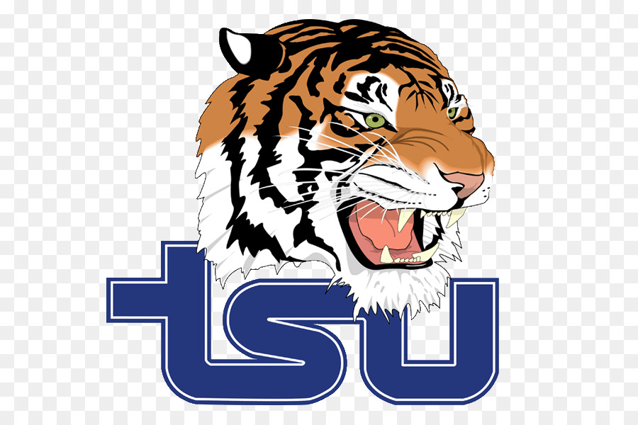 Tennessee State University, Tennessee State Tigers men ' s basketball Tennessee State Tigers football Tennessee Titans Head coach - Tennessee Titans