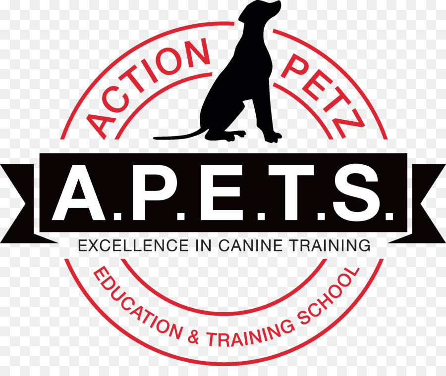 Huấn luyện chó Hành động Petz Gia Hành động Petz Newport viên Chó - Con chó