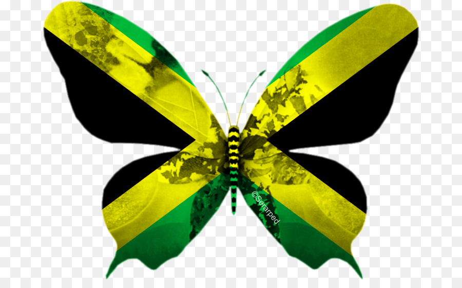 Flagge Jamaika Wappen Kroatien: Mižerja - Jamaika Flagge