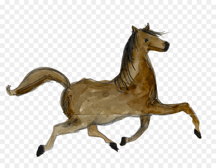 Mustang Fiera Del Libro Di Francoforte Puledro Stallone Pony - la mia bella signora