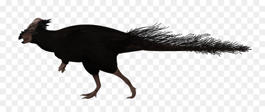 Pachycephalosaurus Psittacosaurus Piuma ARCA: la Sopravvivenza Evoluto Pachycephalosauria - piuma