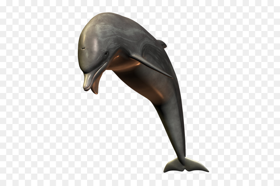 Tucuxi Gemeiner Tümmler Delphin - Delfin