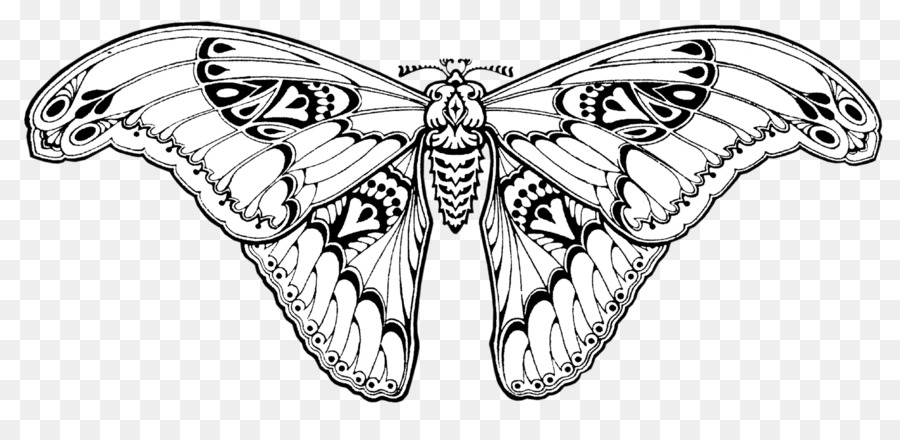 Pinsel-footed Schmetterlinge Falter Butterfly Insekt Flügel - Schmetterling