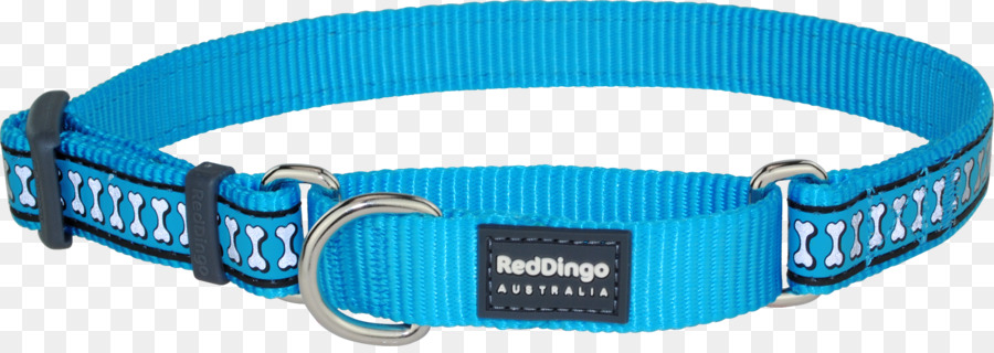 Dingo Hundehalsband Martingale - Hundehalsbänder