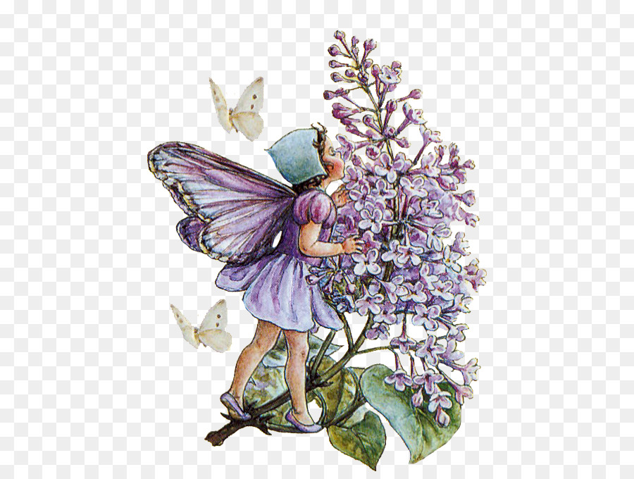 A Flower Fairy Alphabet Blumen Feen Garten Elfenblume im Herbst: Mit den Nüssen und Beeren, die Sie Bringen, - CI, Mary Barker