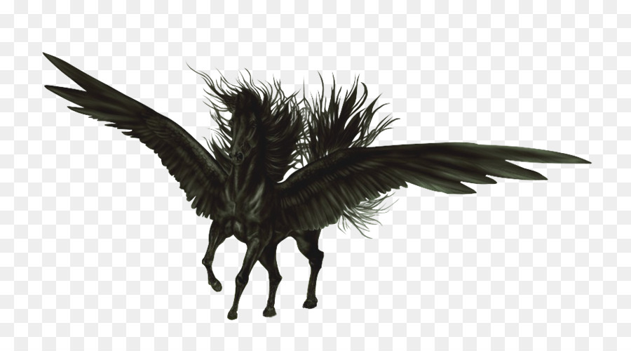 Fliegende Pferde Pegasus Aile Schwarz - Gg
