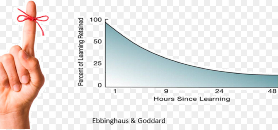 Forgetting Curve Text