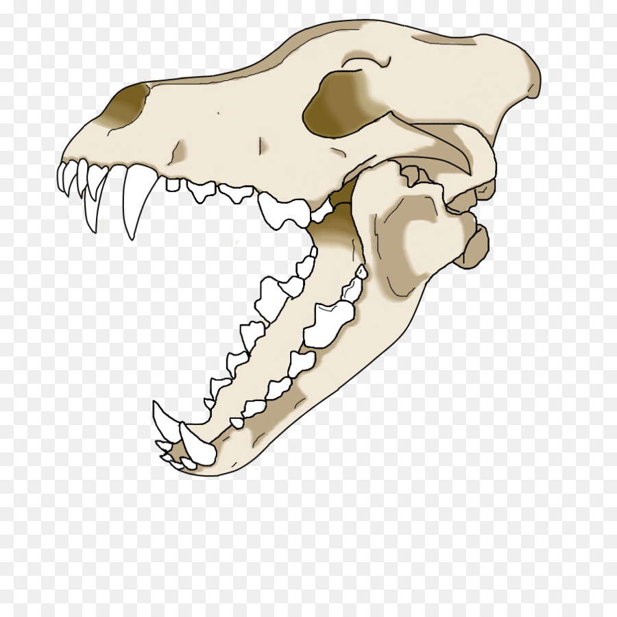 Wolf-Skull-Zeichnung - TOTENKOPF Zeichnung