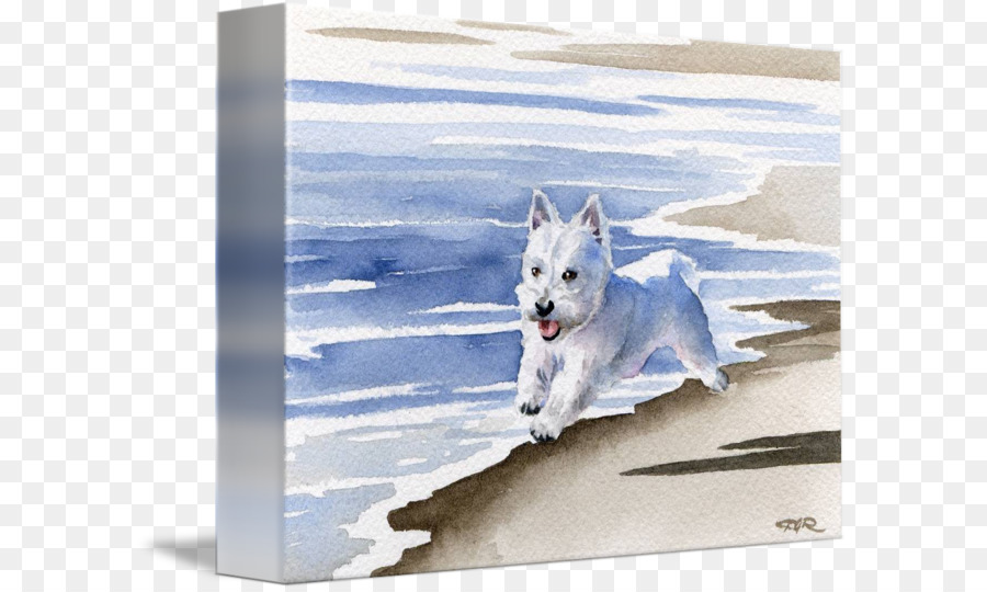 West Highland White Terrier Hund Rasse Gemälde Bilderrahmen - Malerei