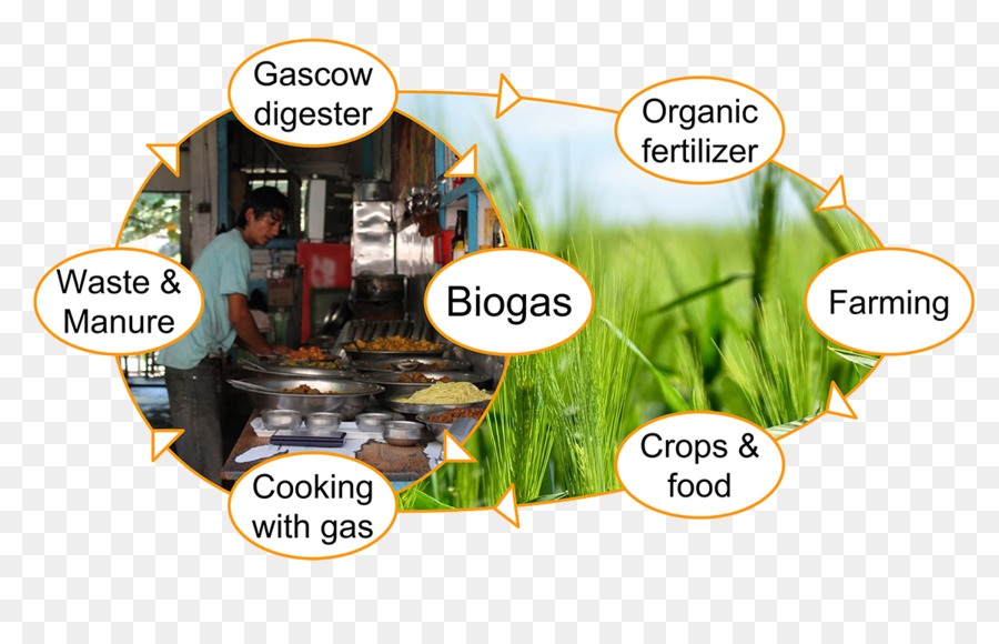 Biogas Servizio Clienti di energia dai Rifiuti - altri