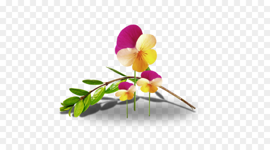 Schnittblumen Animaatio Floral design - Blume