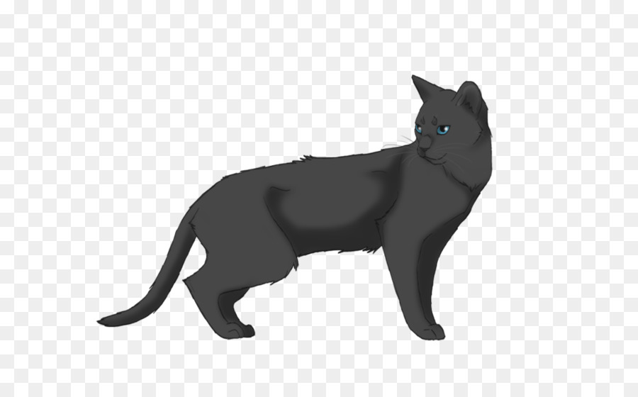 Krieger Erin Hunter Blue Star Prophezeiung Ashfoot Katze - graue Katze